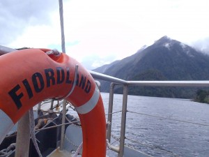 Fjordland Navigator