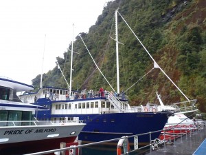 Milford Boat Tour