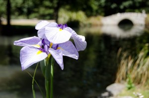 Queenstown Gardens