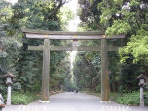 Torii at Meiji Jingu