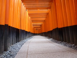 Torii lined path